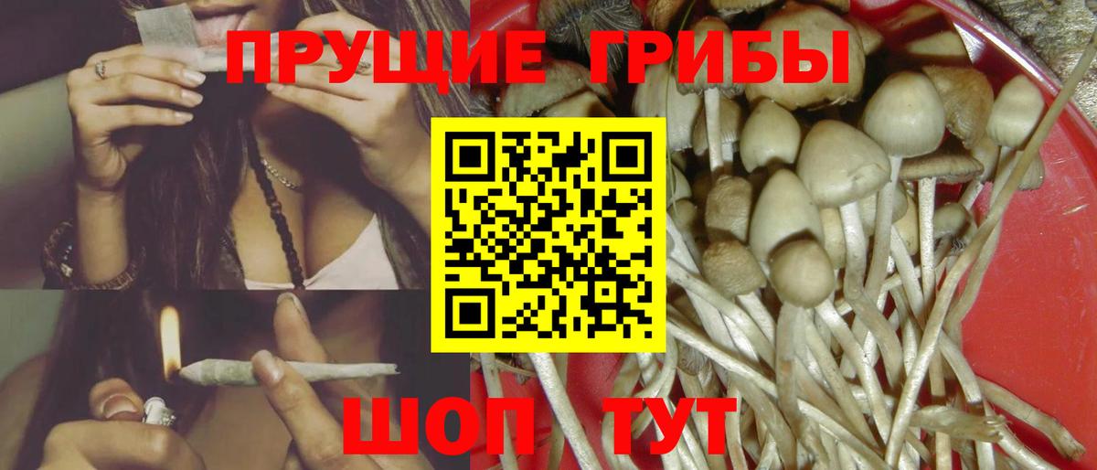 Галлюциногенные грибы ЛСД  Галлюциногенные грибы MAGIC MUSHROOMS  Вход с VPN  где купить наркотик  Фрязино 