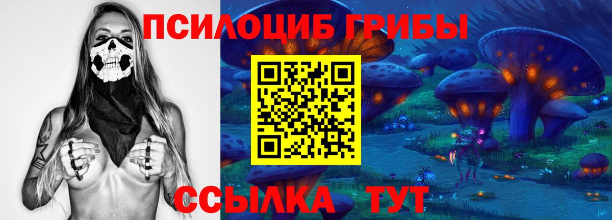 Псилоцибиновые грибы GOLDEN TEACHER Фрязино